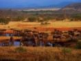 /album/fotogaleria-crowdfunding-luna-de-miel/tanzania-8-jpeg/